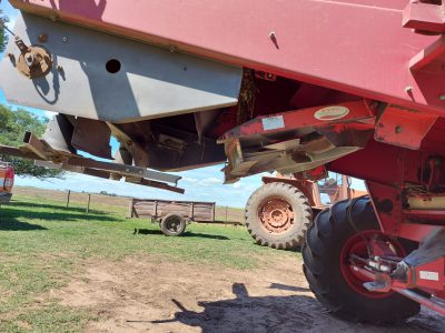 Vassalli – Distribuidora Z