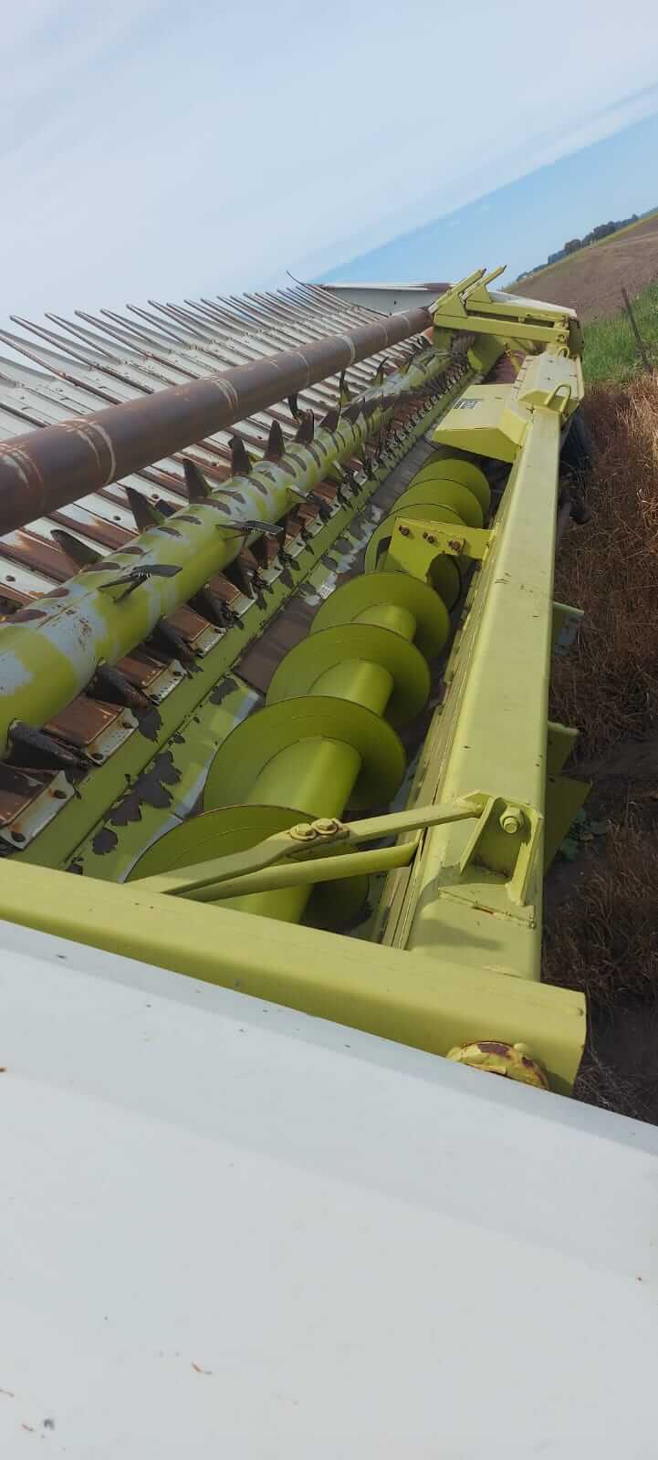 Girasolero Maizco Mxiii 16 A 70 Cm Buen Estado General_ exgalli - Image 3