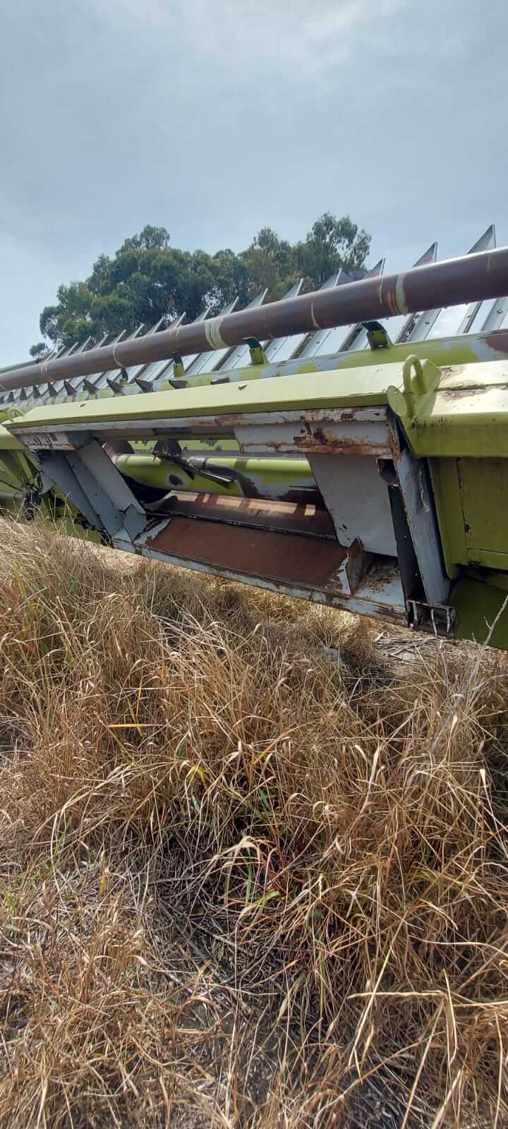 Girasolero Maizco Mxiii 16 A 70 Cm Buen Estado General_ exgalli - Image 6