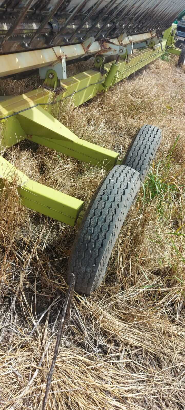 Girasolero Maizco Mxiii 16 A 70 Cm Buen Estado General_ exgalli - Image 9