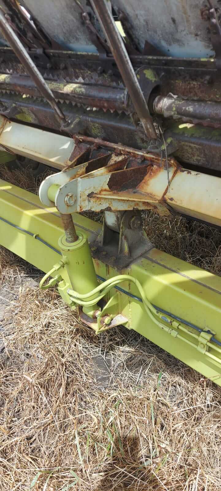 Girasolero Maizco Mxiii 16 A 70 Cm Buen Estado General_ exgalli - Image 13