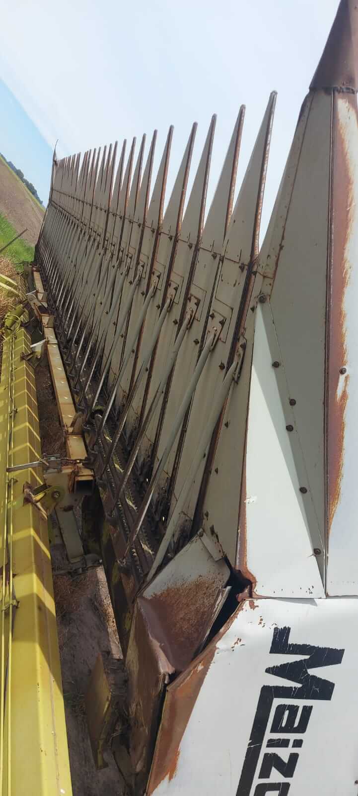 Girasolero Maizco Mxiii 16 A 70 Cm Buen Estado General_ exgalli - Image 16